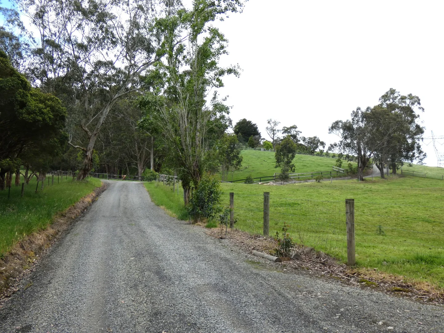 Additional image 28 of 125 Sheepstation Creek Road, Yellingbo VIC 3139