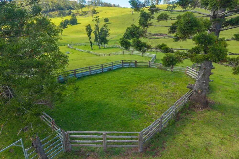 Additional image 5 of 669 Costigans Road, Yarras NSW 2446