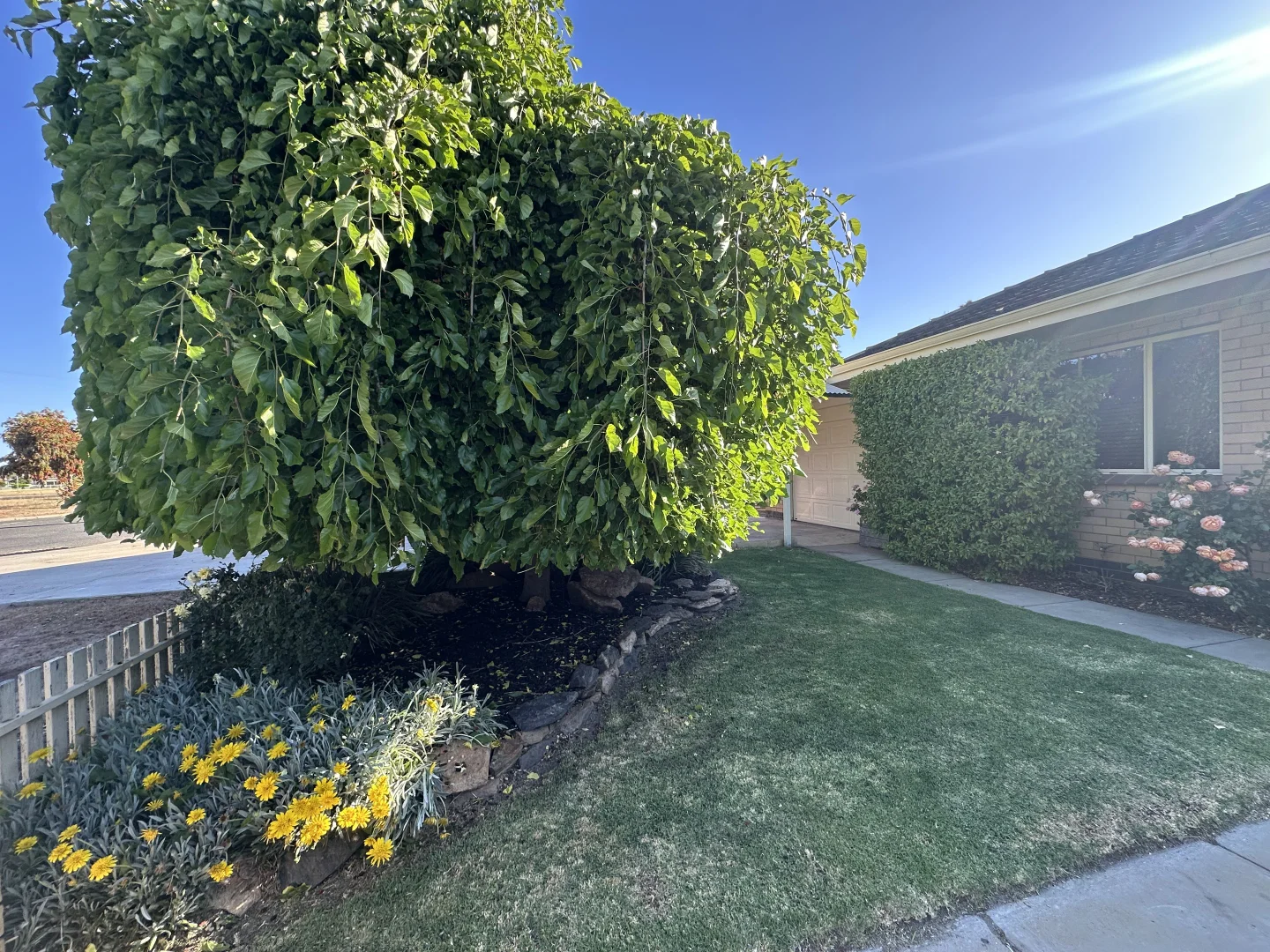 Additional image 33 of 7 Andrews Place, Katanning WA 6317