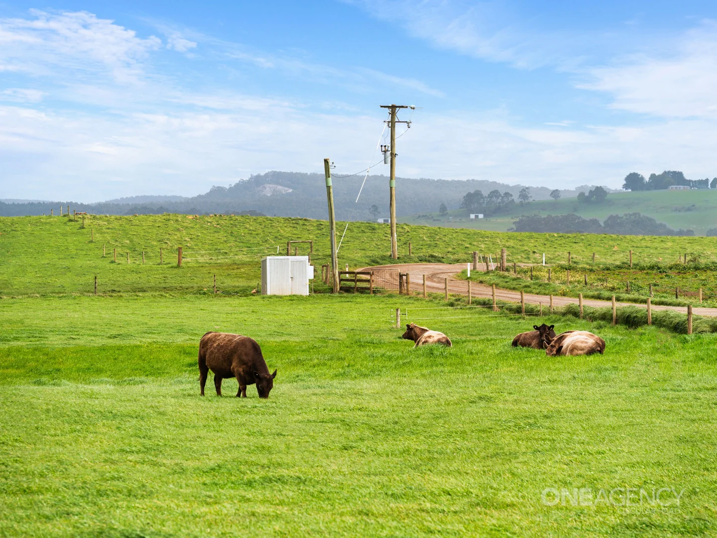 Additional image 6 of Cyathea Road, Forest TAS 7330