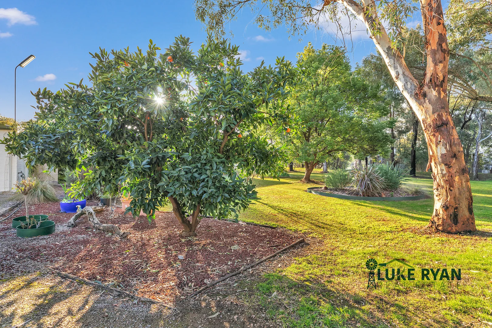 Additional image 22 of 133 Mackay Street, Rochester VIC 3561