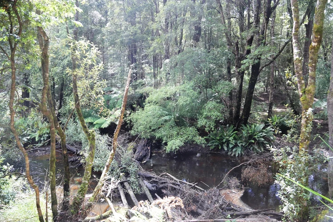 Additional image 9 of 1 Croles Road, Trowutta TAS 7330