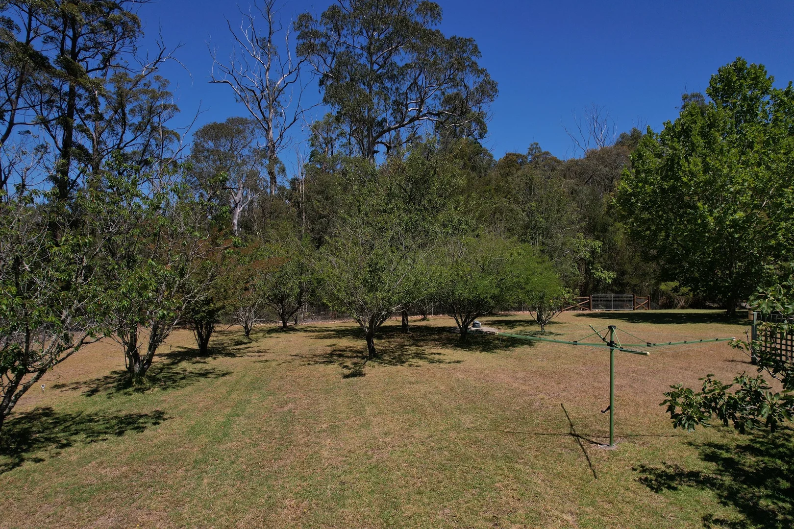 Additional image 23 of 115 Gulph Creek Road, Nerrigundah NSW 2545