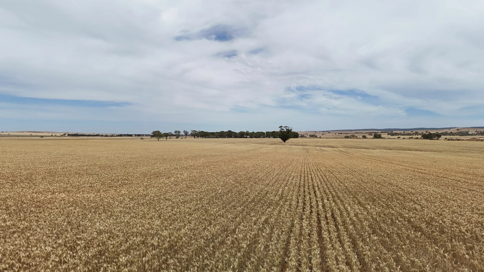 Additional image 3 of 1005 Appila-Laura Rd, Appila SA 5480