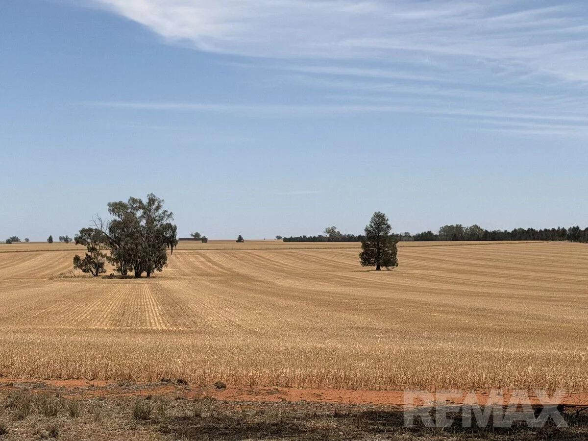 9547 Mahonga Road, Urana NSW 2645