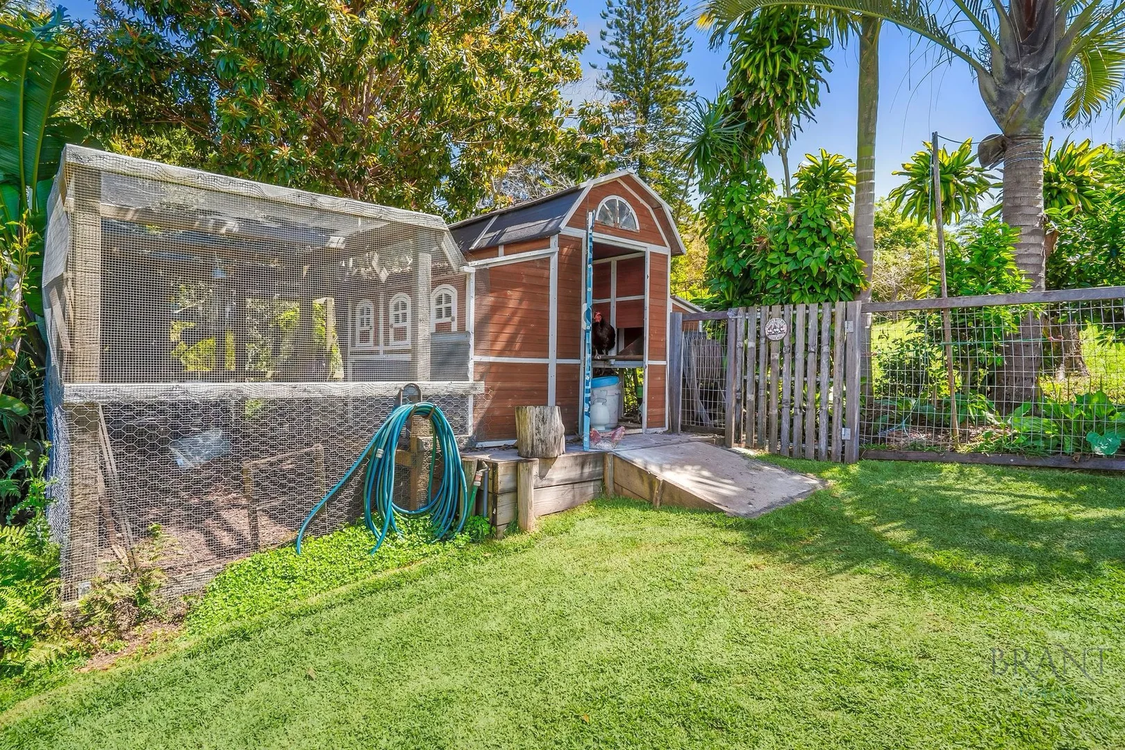 Additional image 29 of 392 Mountain View Road, Maleny QLD 4552