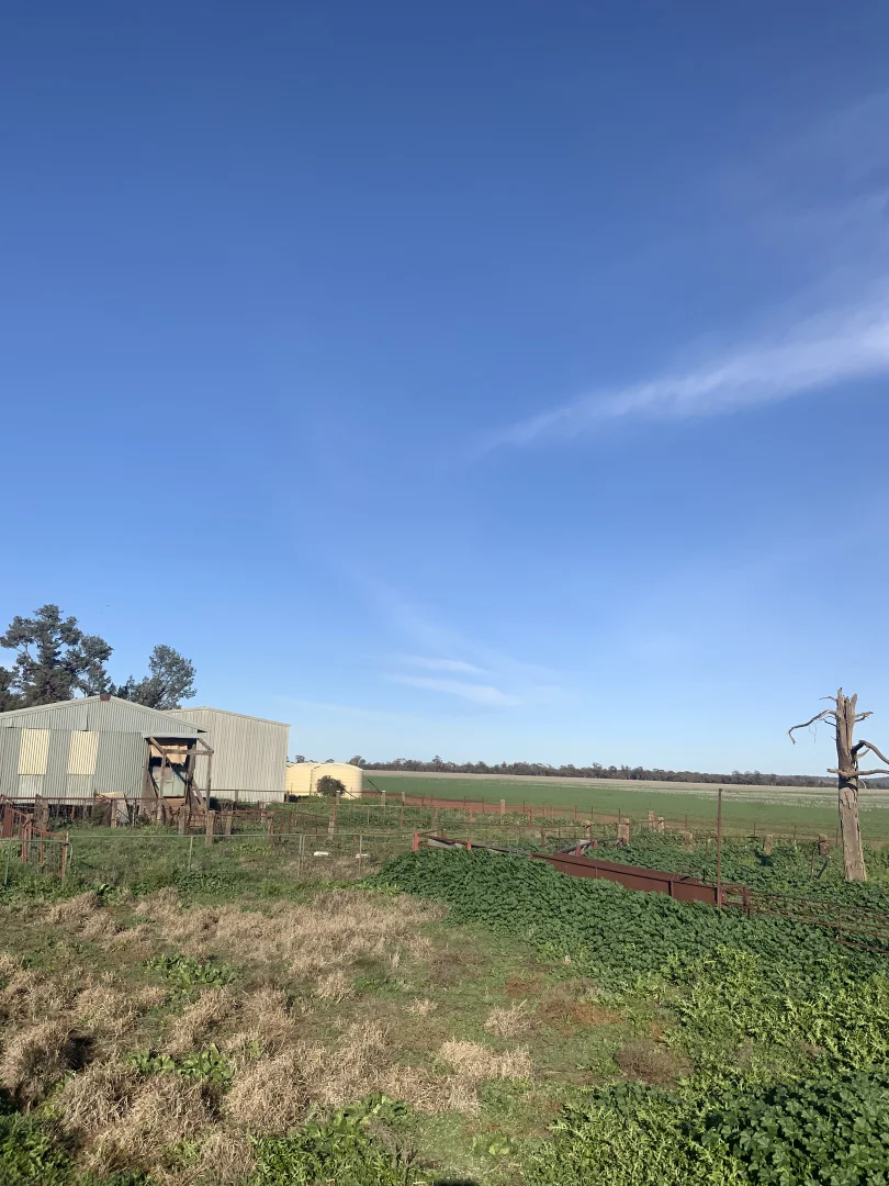 Additional image 10 of 762 Cornells Road, Condobolin NSW 2877