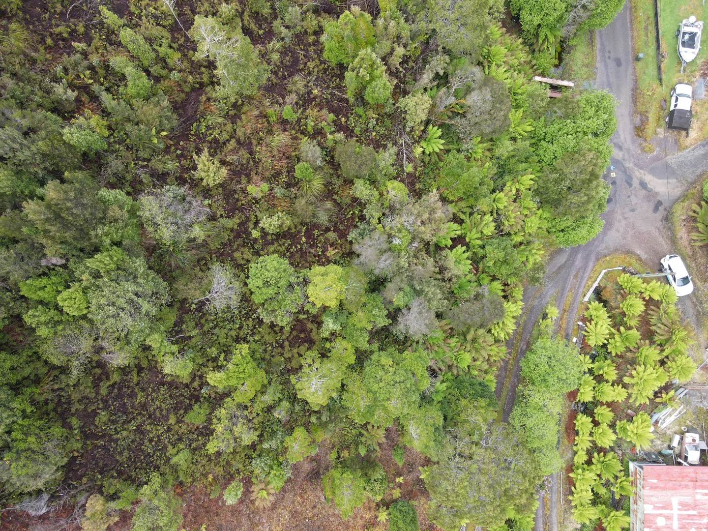 Additional image 3 of 6 Arthur Street, Queenstown TAS 7467