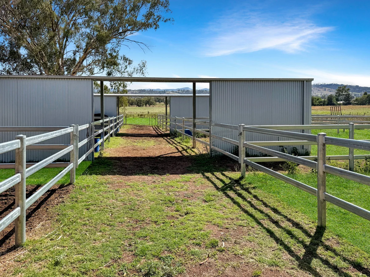 Additional image 3 of 347 Warrah Ridge Road, Quirindi NSW 2343