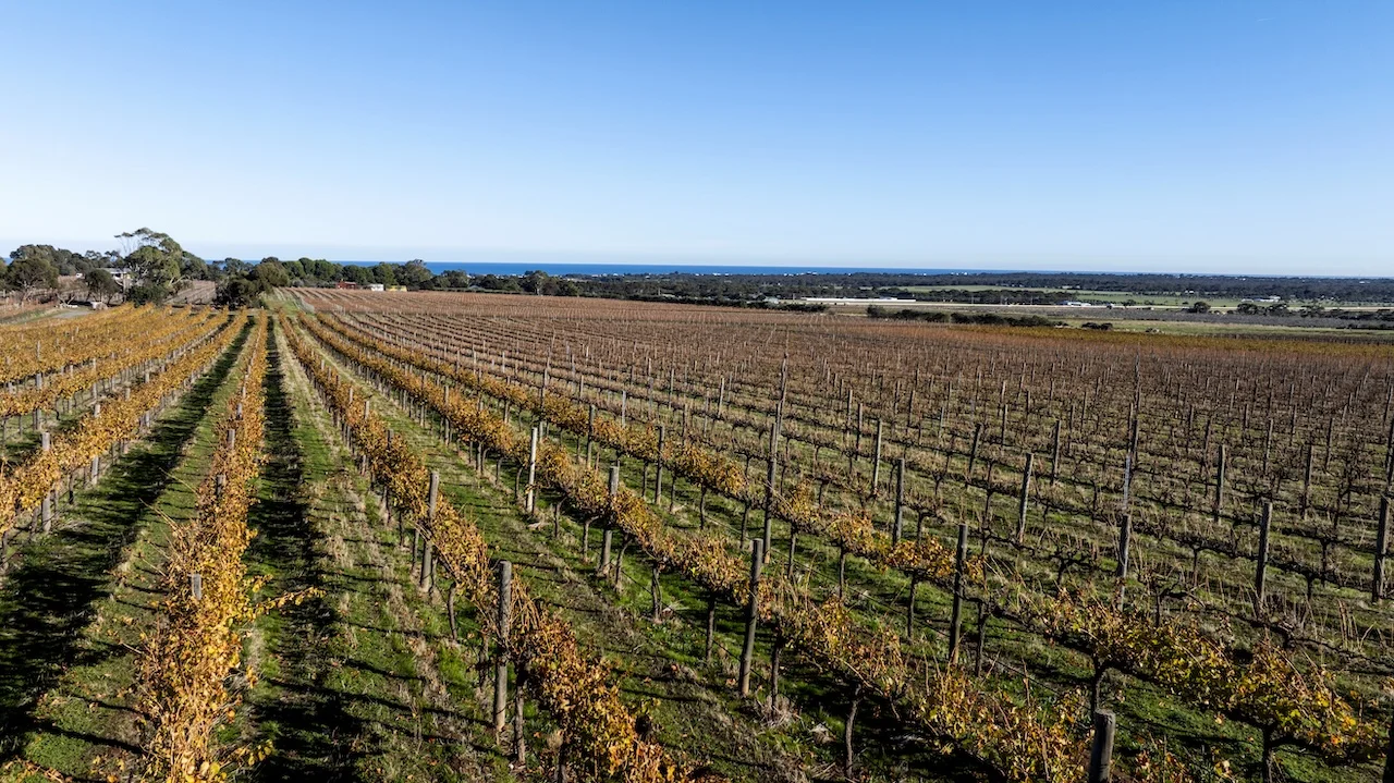 Additional image 47 of 428 Plains Road, Sellicks Hill SA 5174