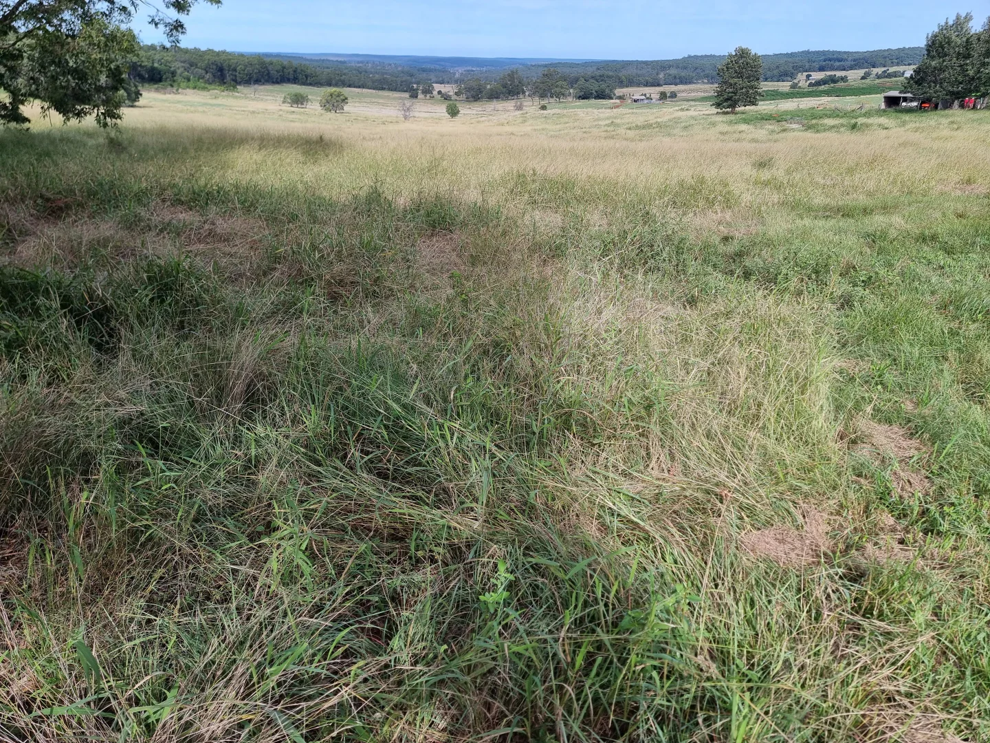 Additional image 3 of 725 Mount Mceuen Road, Wondai QLD 4606