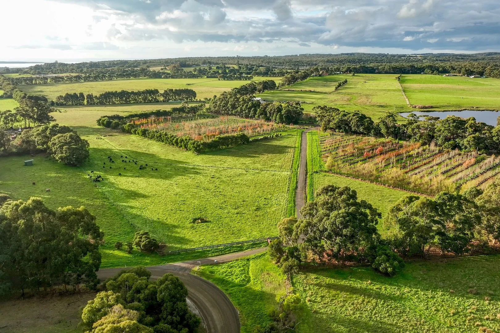 Additional image 19 of 347 McKenzie Road, Glen Forbes VIC 3990