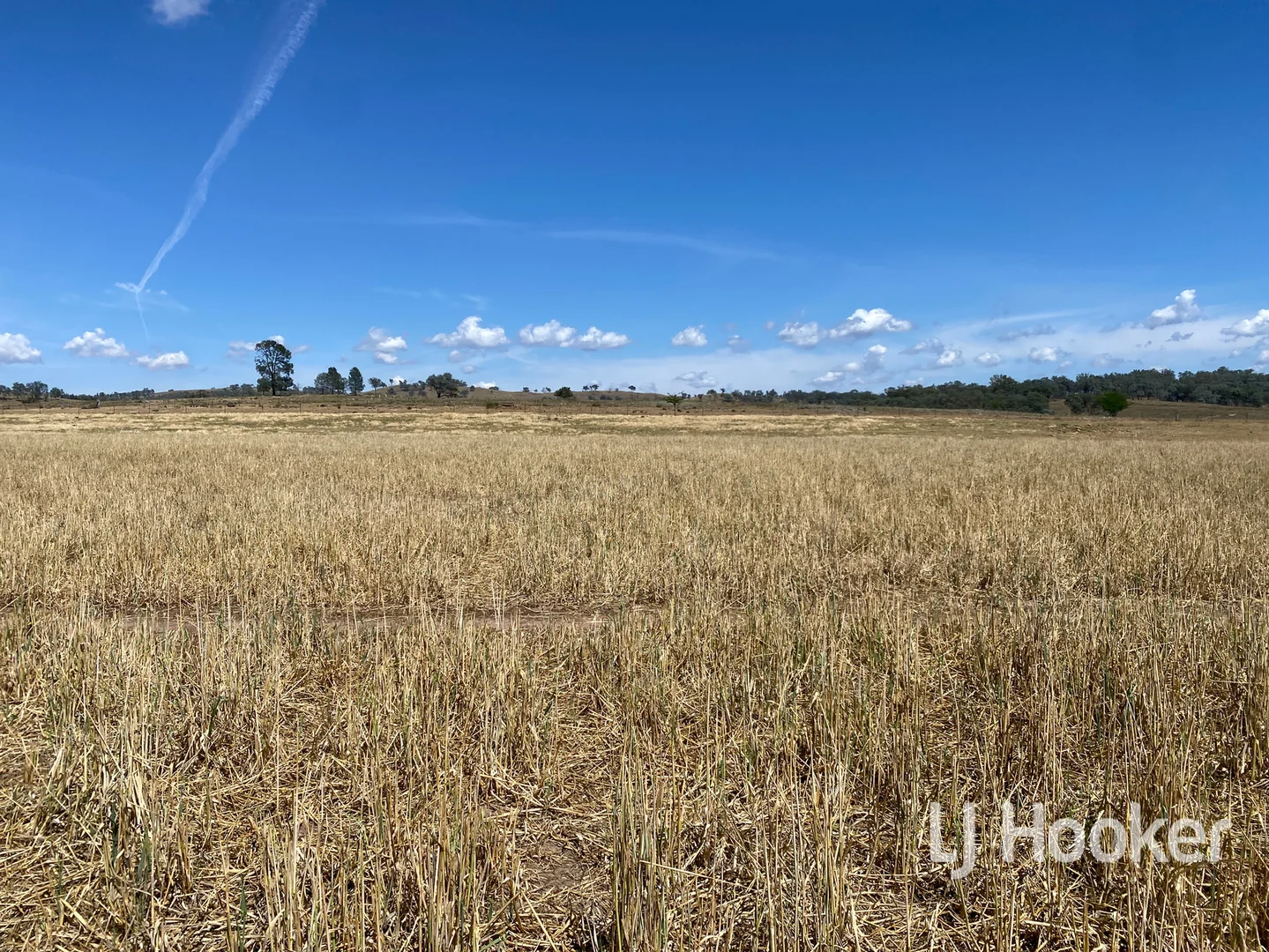 Additional image 13 of 1198 Bukkulla Road, Inverell NSW 2360