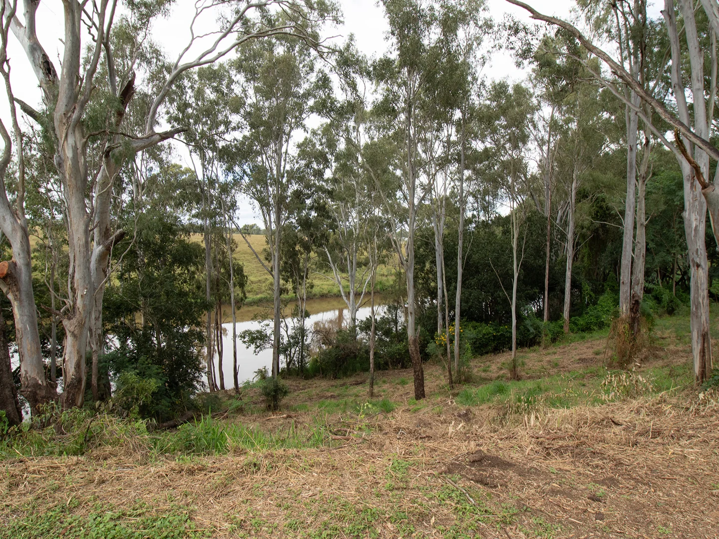 Additional image 12 of 1 Black Street, Tivoli QLD 4305