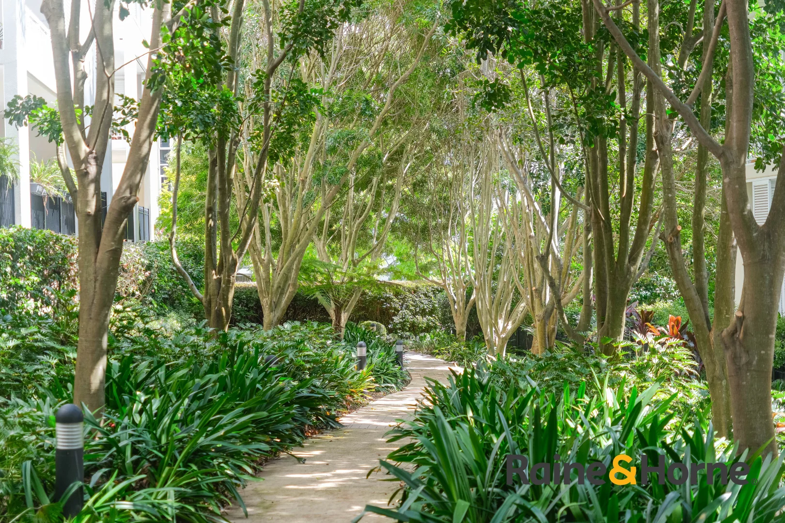 Additional image 11 of 118/10-16 Vineyard Way, Breakfast Point NSW 2137