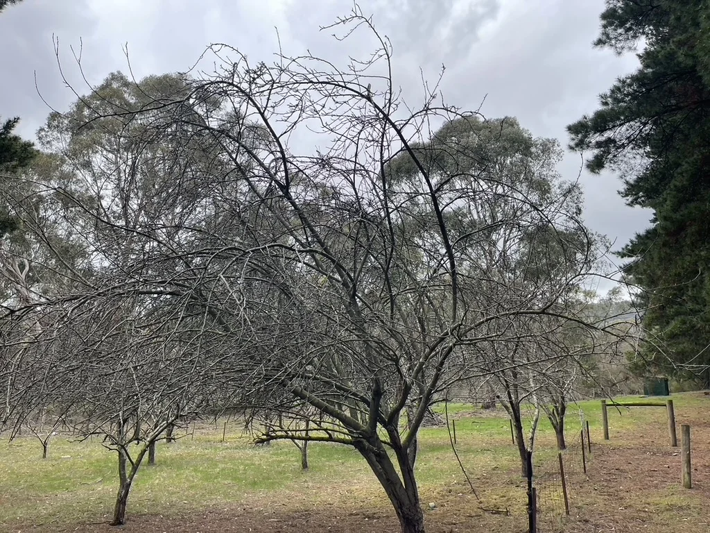 Additional image 7 of 41 Eleventh Avenue, Eden Park VIC 3757