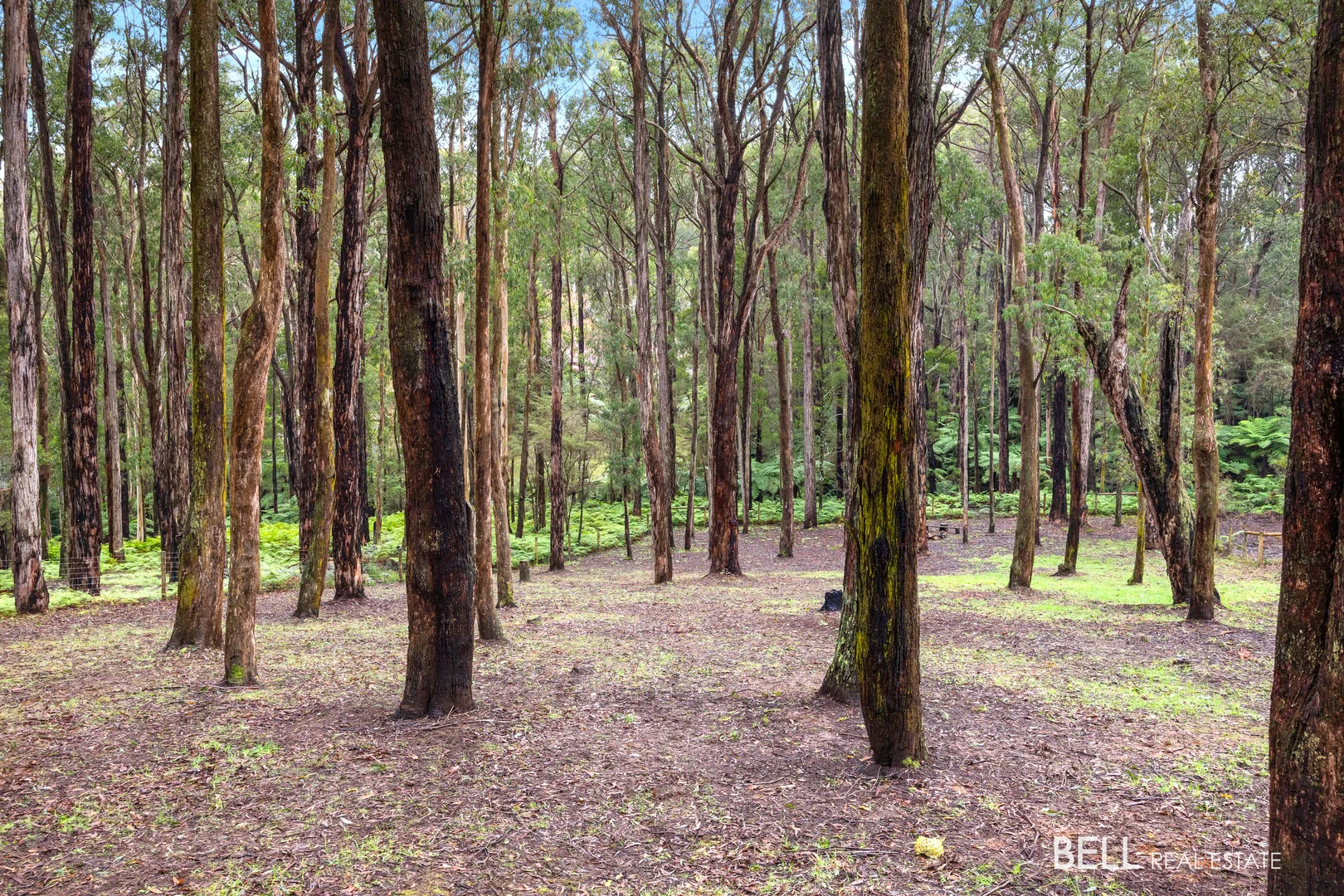 Additional image 9 of 15 Lyrebird Avenue, East Warburton VIC 3799