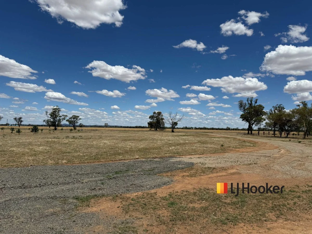 Additional image 7 of 88 McNamaras Lane, Narromine NSW 2821