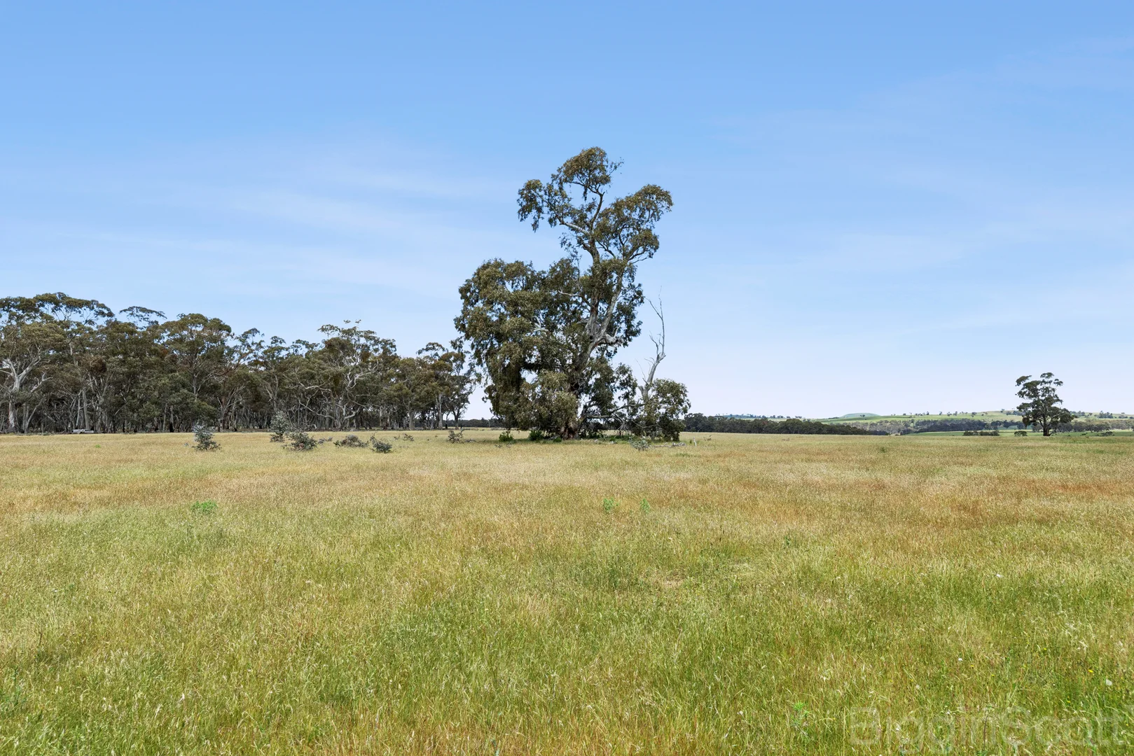 Additional image 6 of 260 Deep Creek Road, Campbelltown VIC 3364