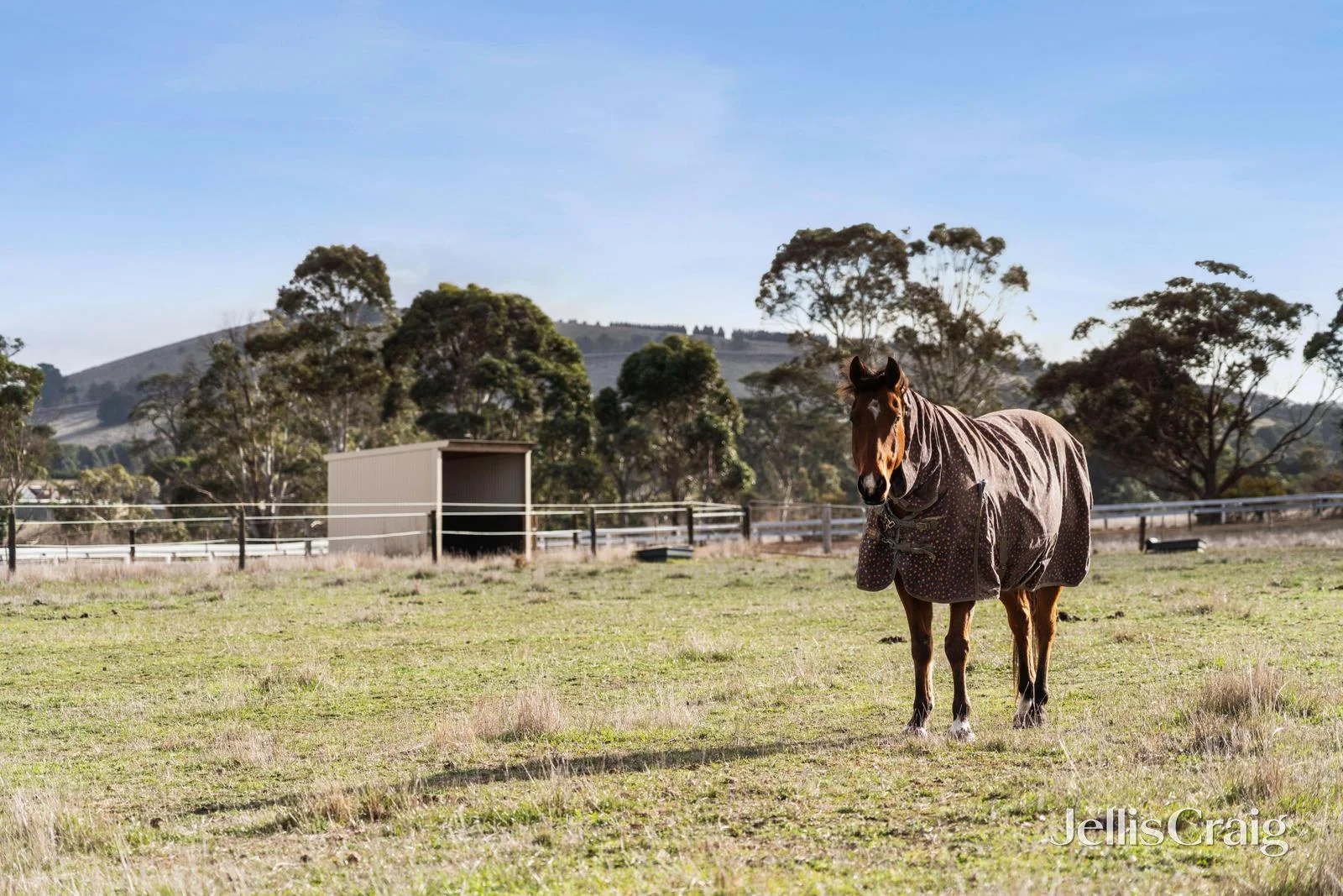 Additional image 12 of Lot 4/203 Sharpes Road, Miners Rest VIC 3352