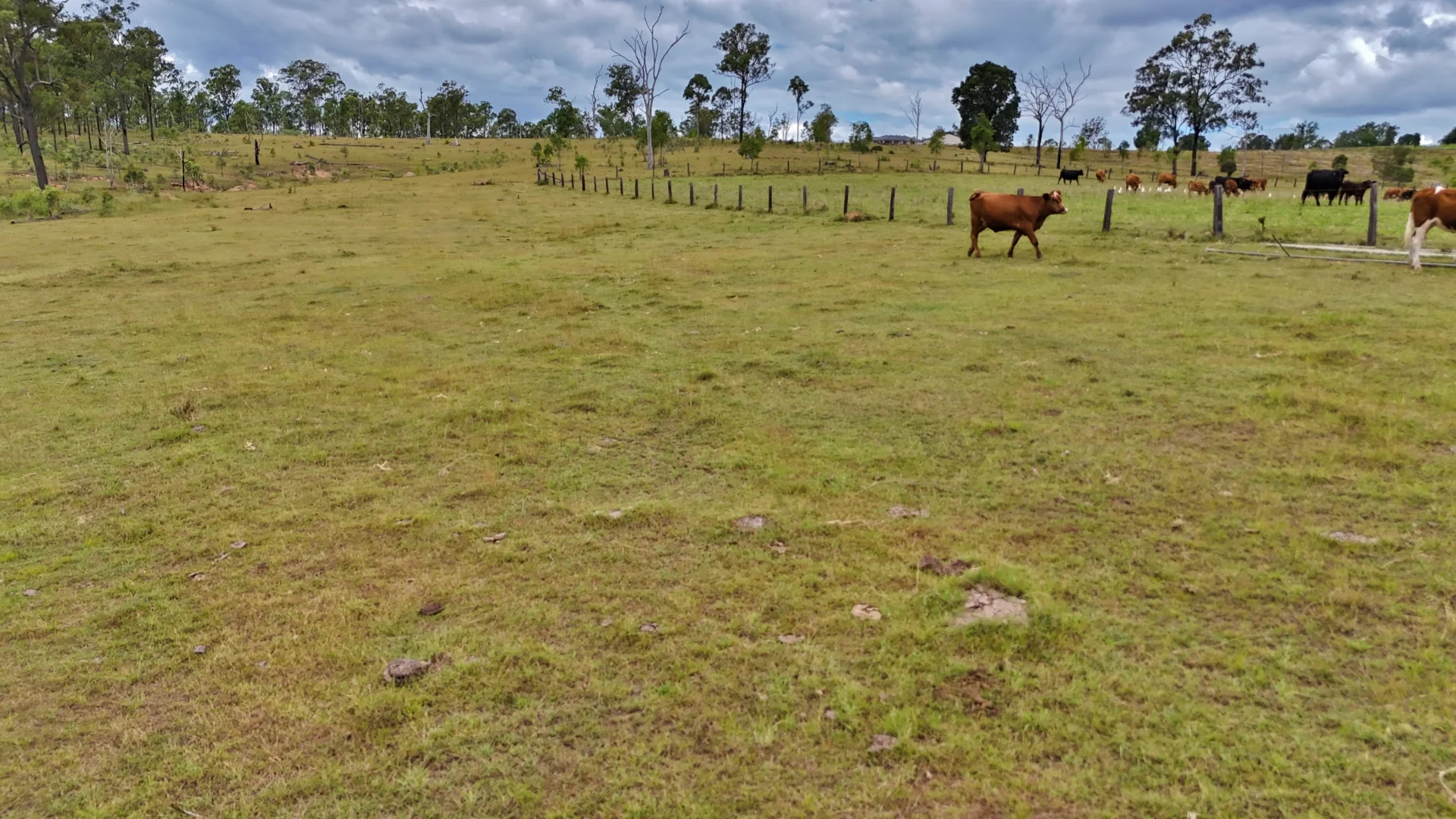 Additional image 8 of Lot 179 Glen Cairn Rd, Laidley Heights QLD 4341