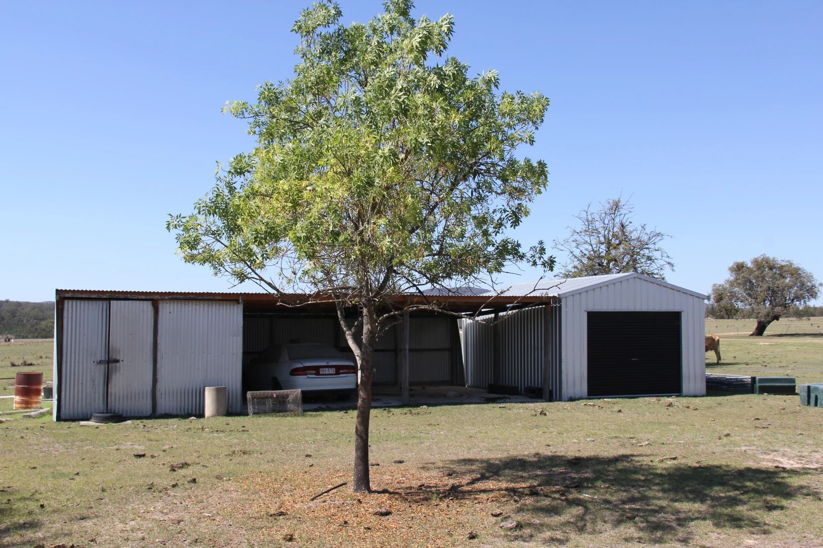 Additional image 12 of 1461 Atholwood Road, Bonshaw NSW 2361