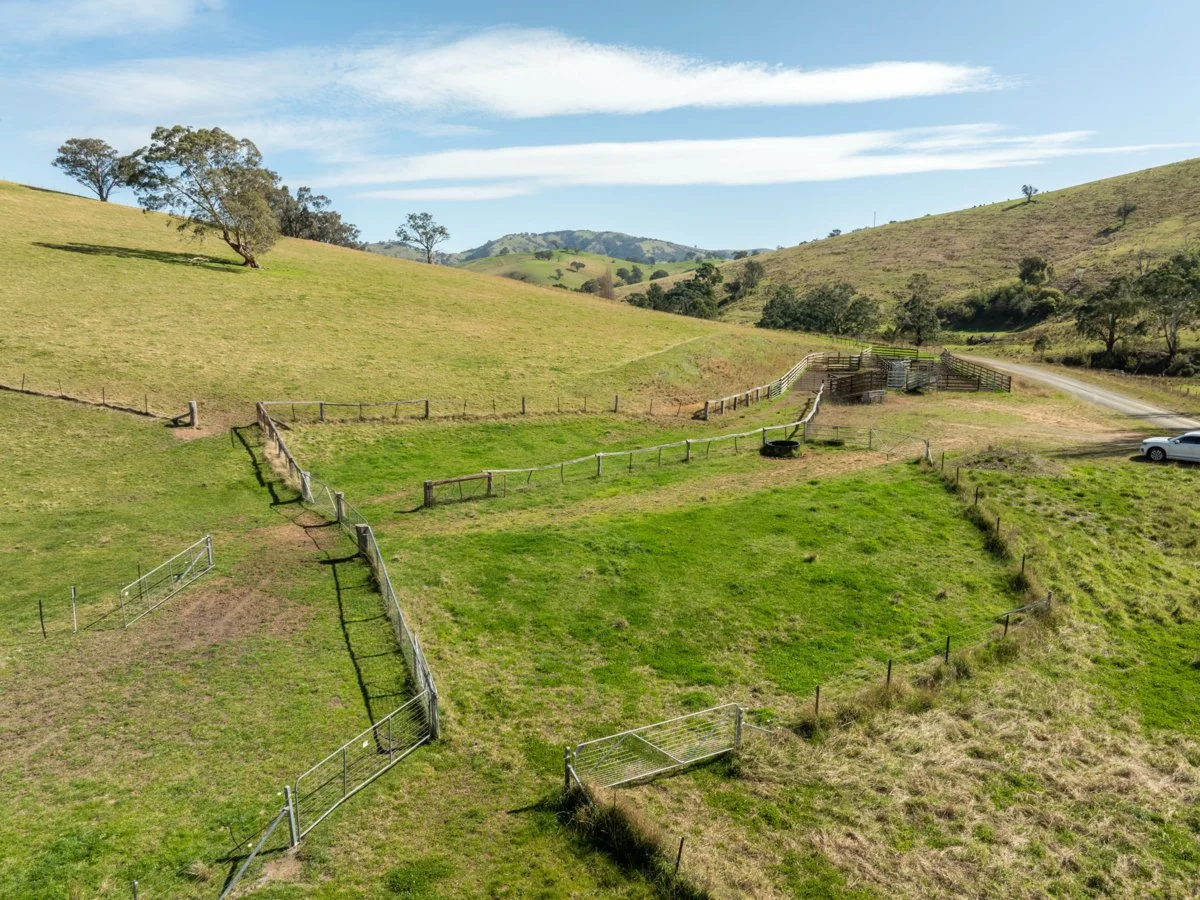 Additional image 39 of 198 Watts Creek Road, Ensay VIC 3895