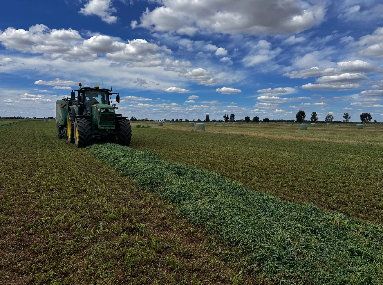 Additional image 30 of 229 Elliots Lane, Forbes NSW 2871