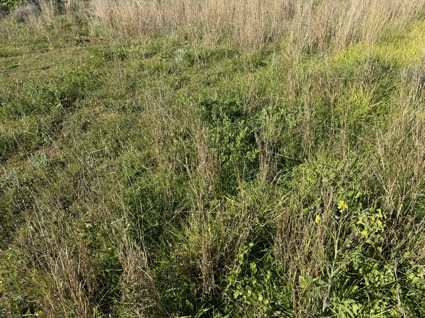 Additional image 40 of 2823 Hermidale Nymagee Road, Hermidale NSW 2831