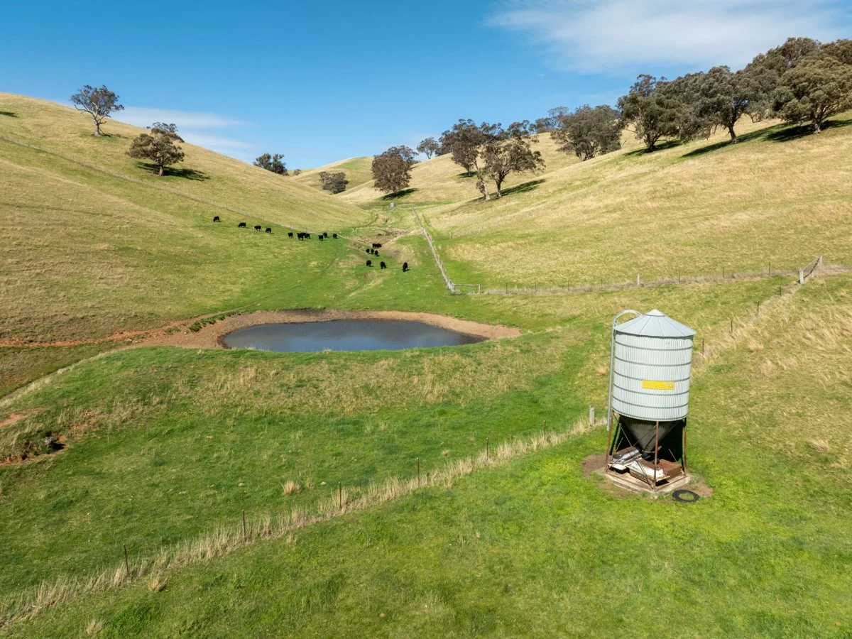 Additional image 49 of 198 Watts Creek Road, Ensay VIC 3895