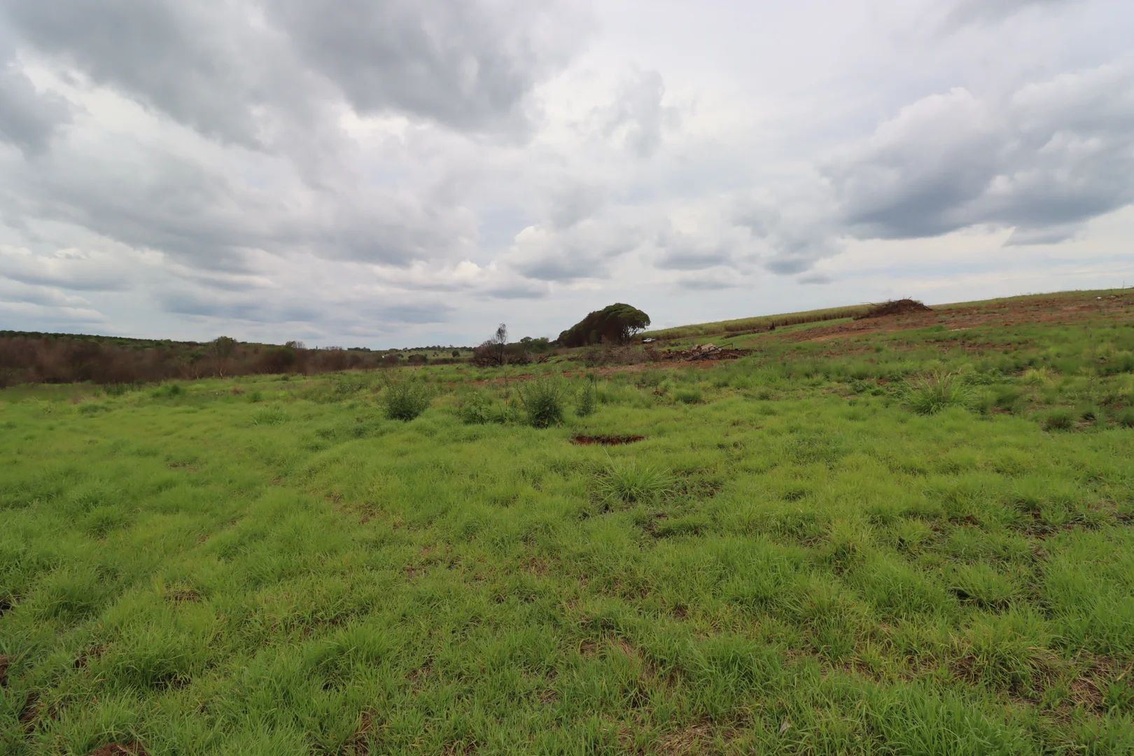 Additional image 10 of 532 Lynwood Road, North Isis QLD 4660