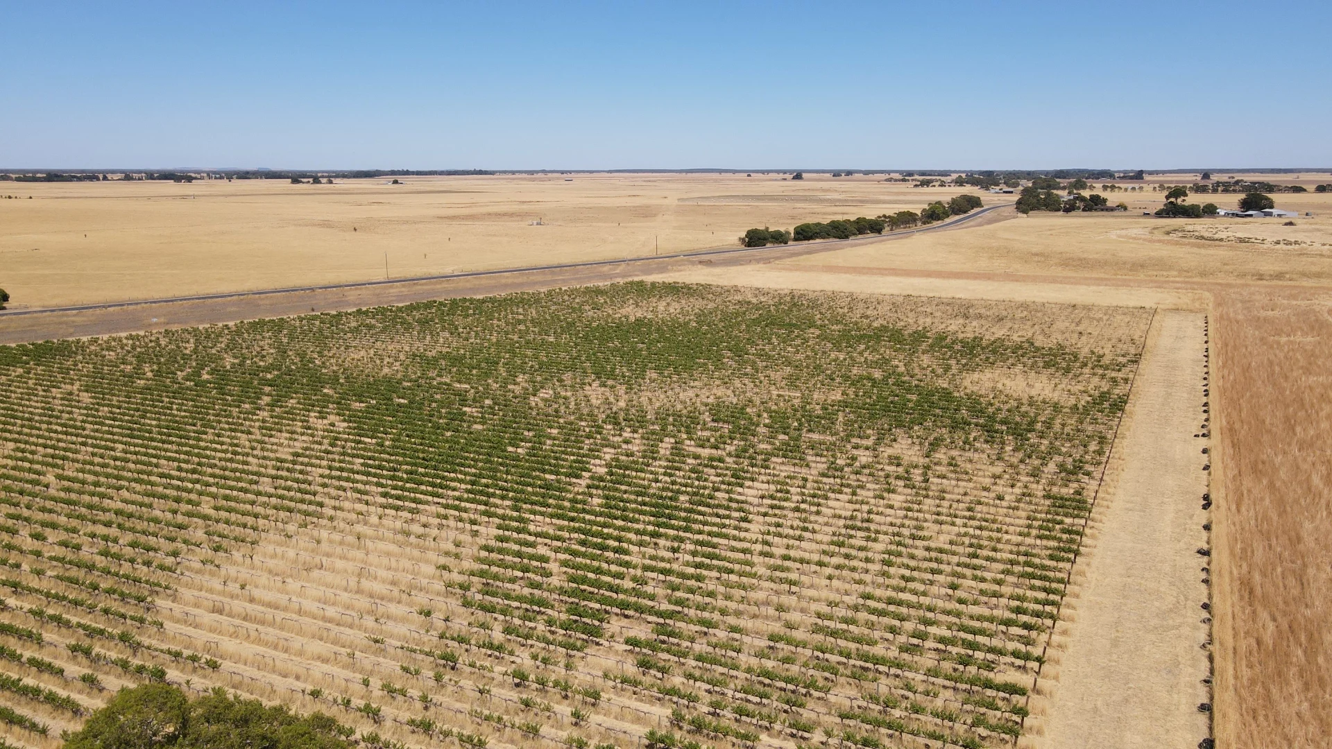 Additional image 8 of 8283 Clay Wells Rd, Penola SA 5277