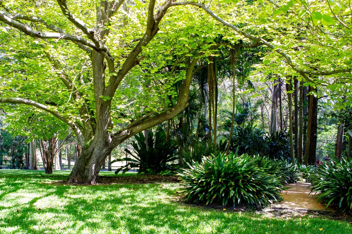 Additional image 26 of 461A The Entrance Road, Erina Heights NSW 2260