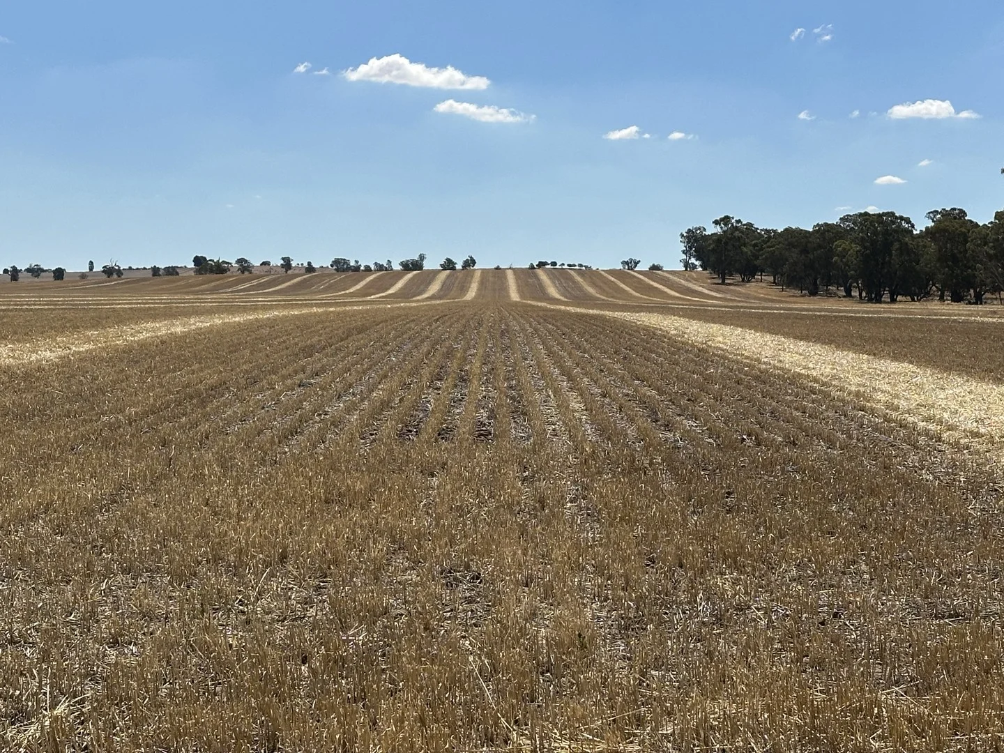 Lot 1 Tootool Mittagong Road, Tootool NSW 2655