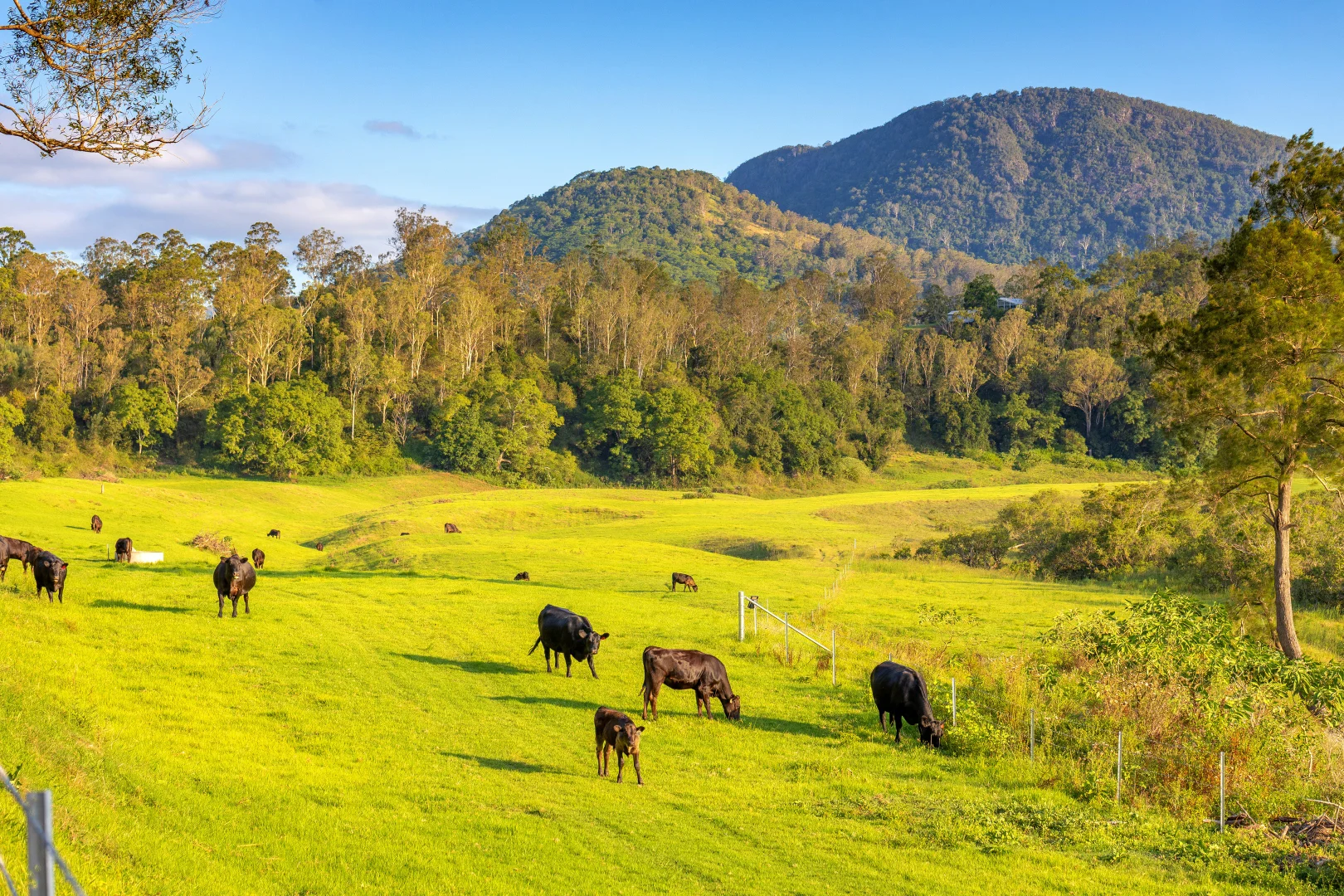 Additional image 38 of 424 Norwood Lane, Mount George NSW 2424