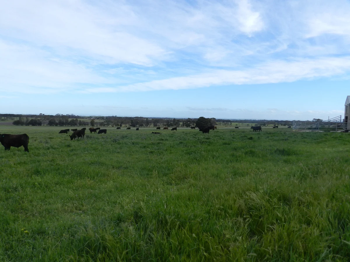 Additional image 30 of 2310 Colac-Ballarat Road, Weering VIC 3251