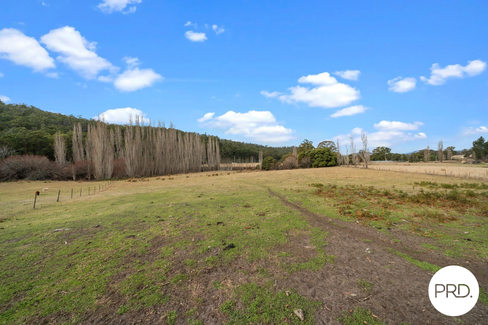 Additional image 24 of 240 Ellendale Road, Fentonbury TAS 7140