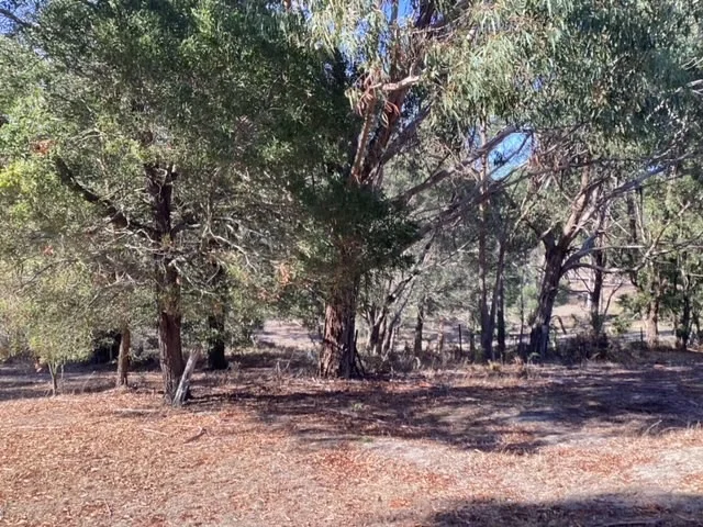 Additional image 8 of Lot 25 (26 Hewitts Road, Linton VIC 3360