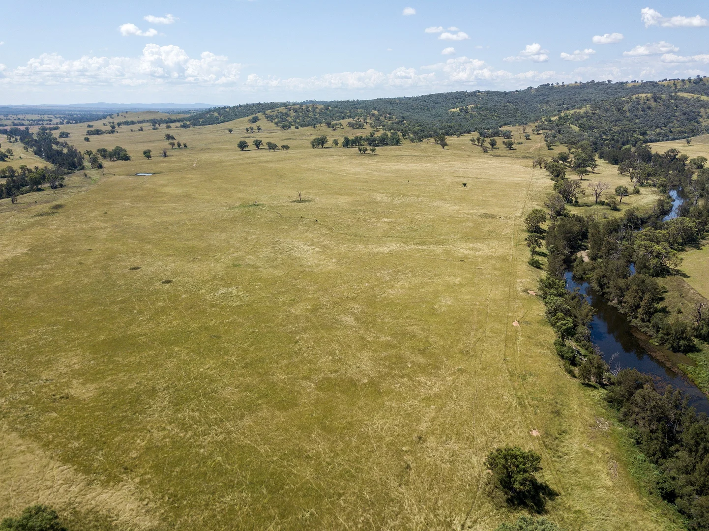 Additional image 12 of 1198 Bukkulla Road, Ashford NSW 2361