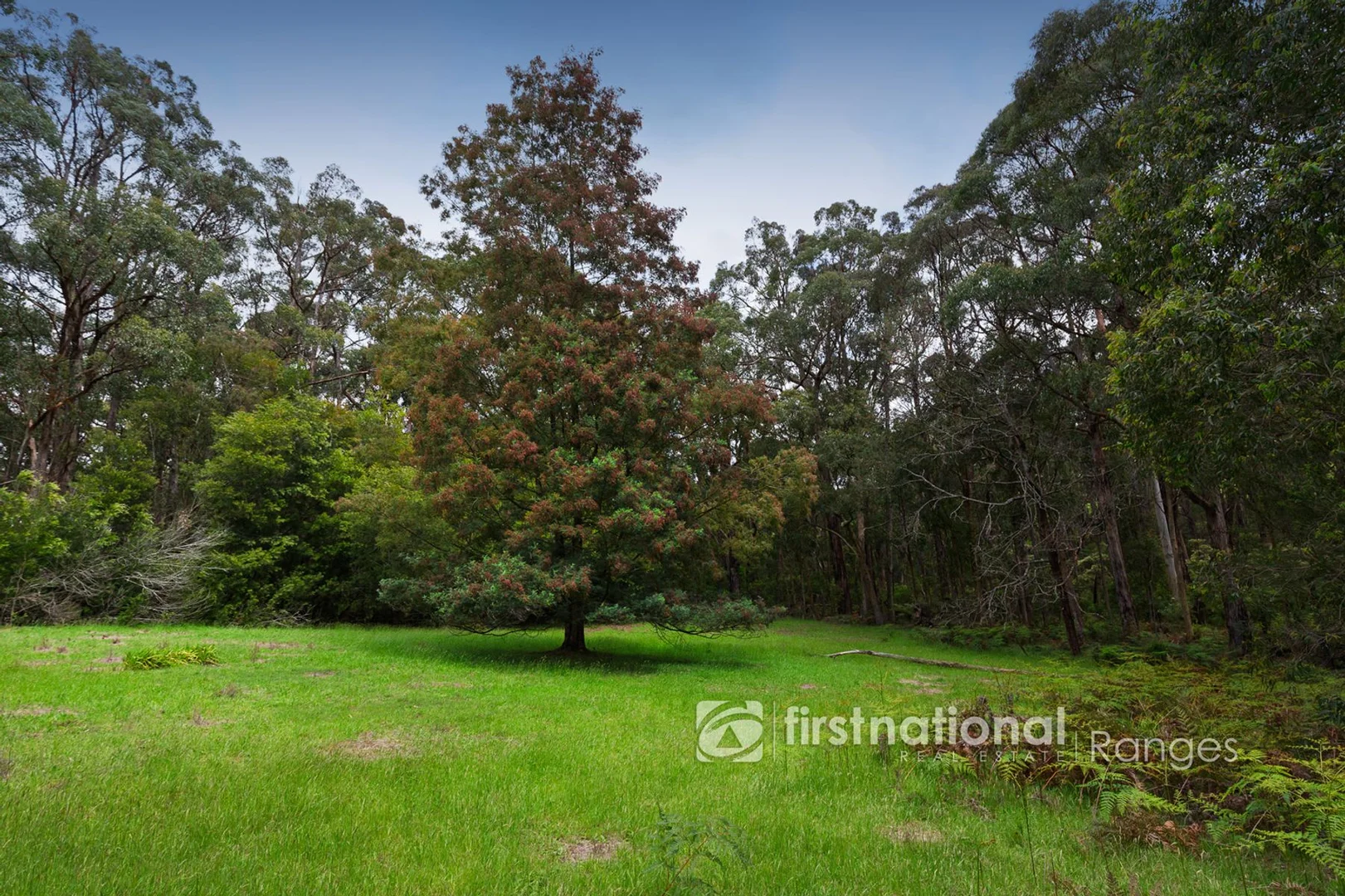 Additional image 14 of 171 Stewart Road, Emerald VIC 3782