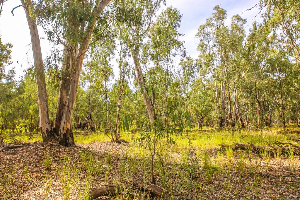 Additional image 10 of Lot 19, 20, 23 & 24 - 650 Yarraman Road, Moama NSW 2731