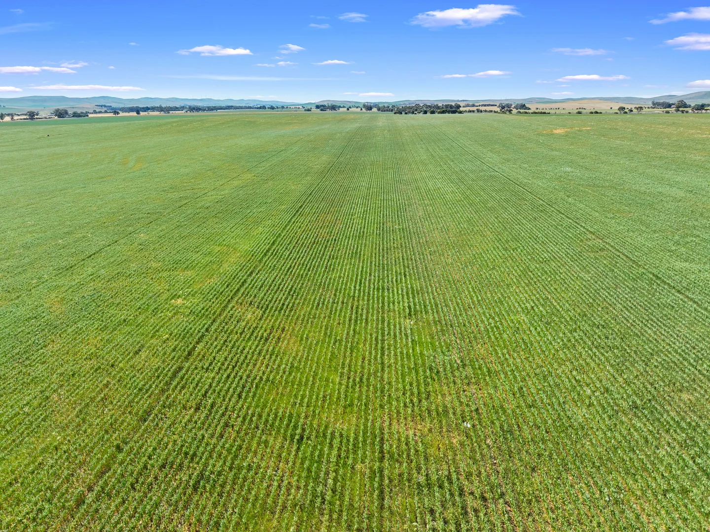 Additional image 8 of 1 Tohls Road, Booborowie SA 5417