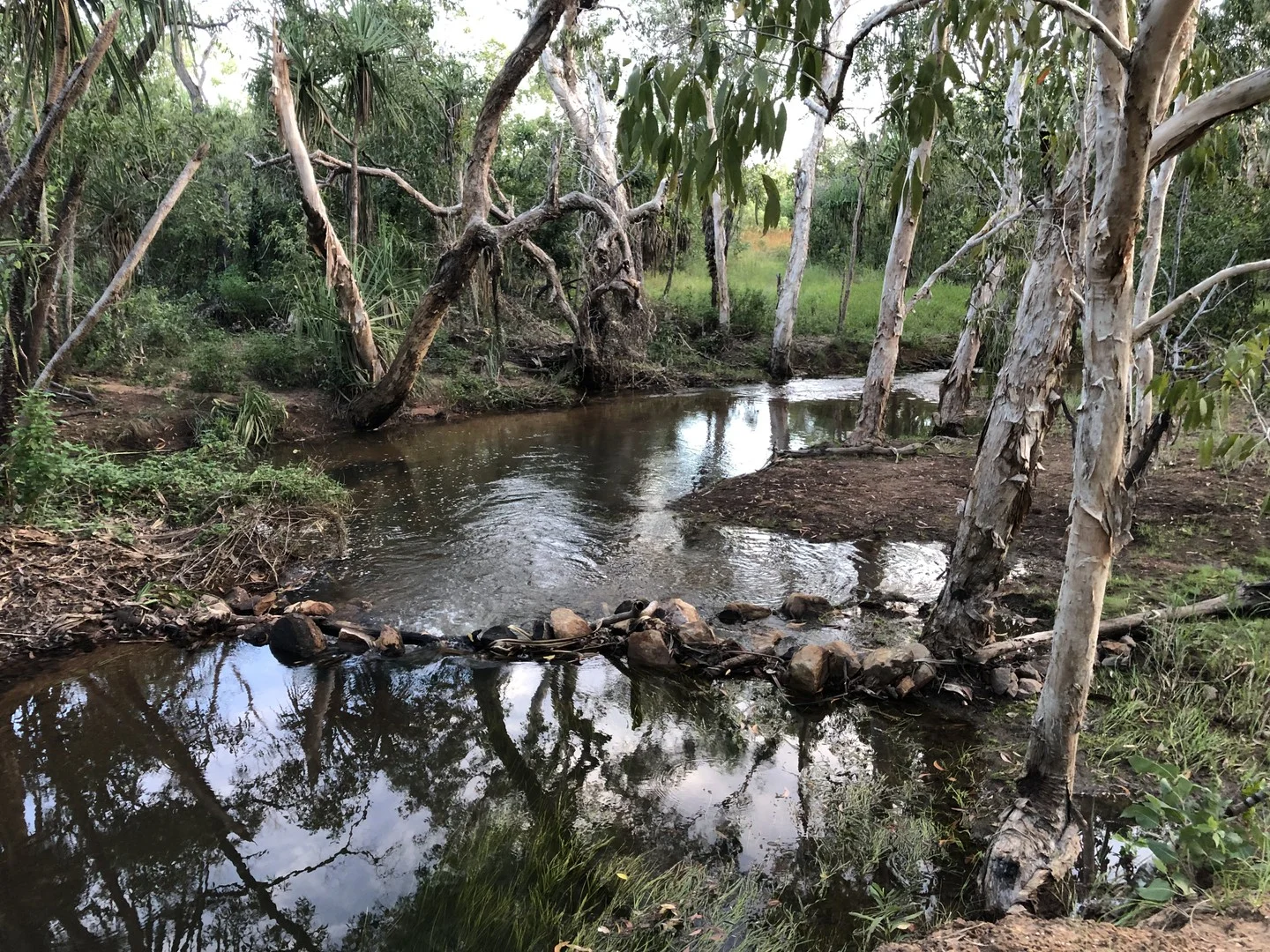 56 Dowling Rd, Virginia NT 0834