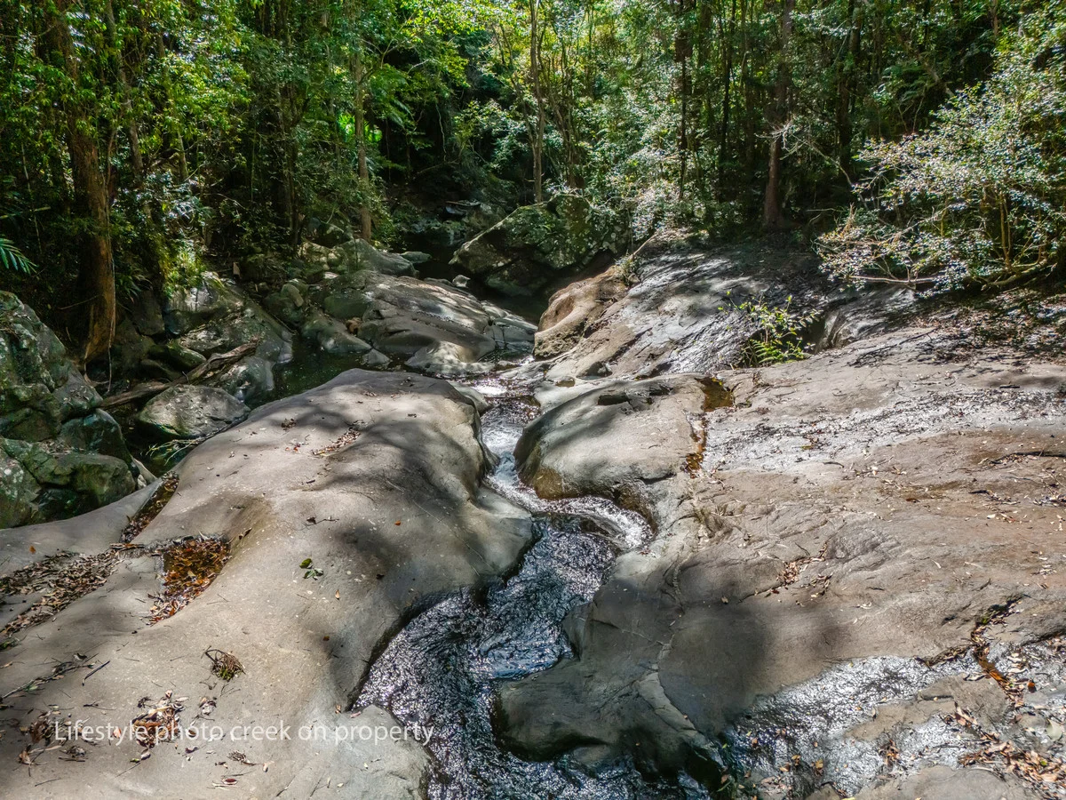 Additional image 22 of Share 38/193 Hidden Valley Road, Eungella NSW 2484