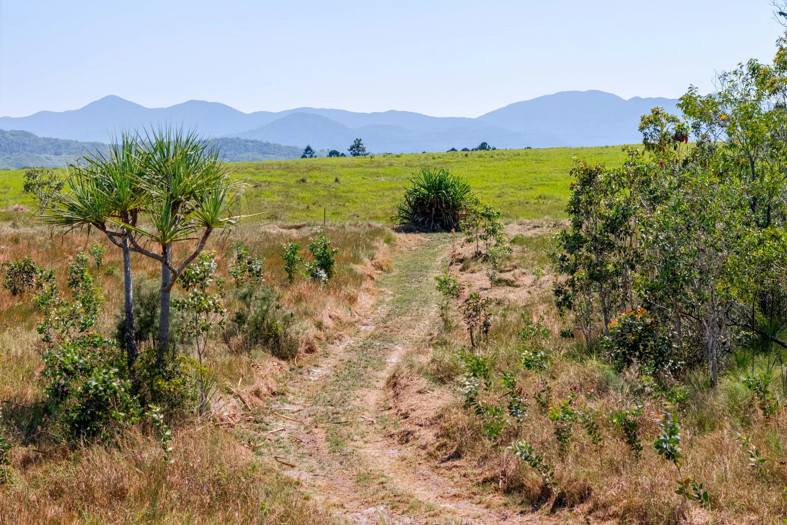 Additional image 5 of Lot 93/96 Mary Jane Drive, Julatten QLD 4871