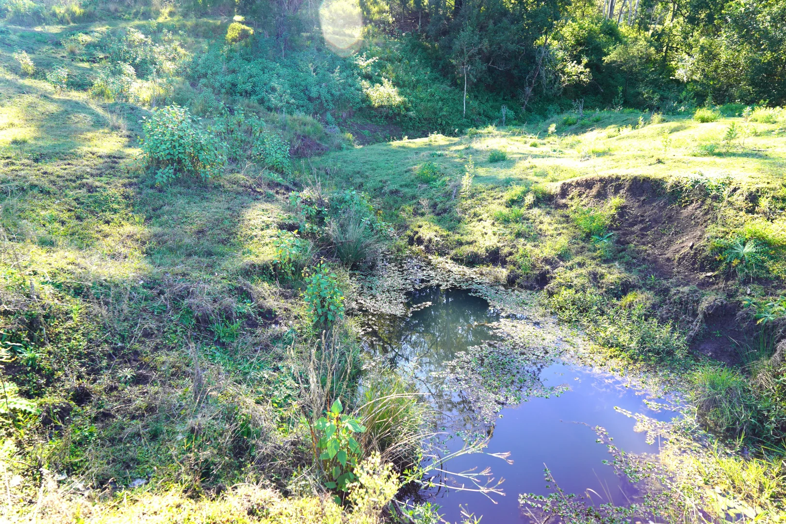 Additional image 4 of 2425 Pine Creek Rd, Lismore NSW 2480