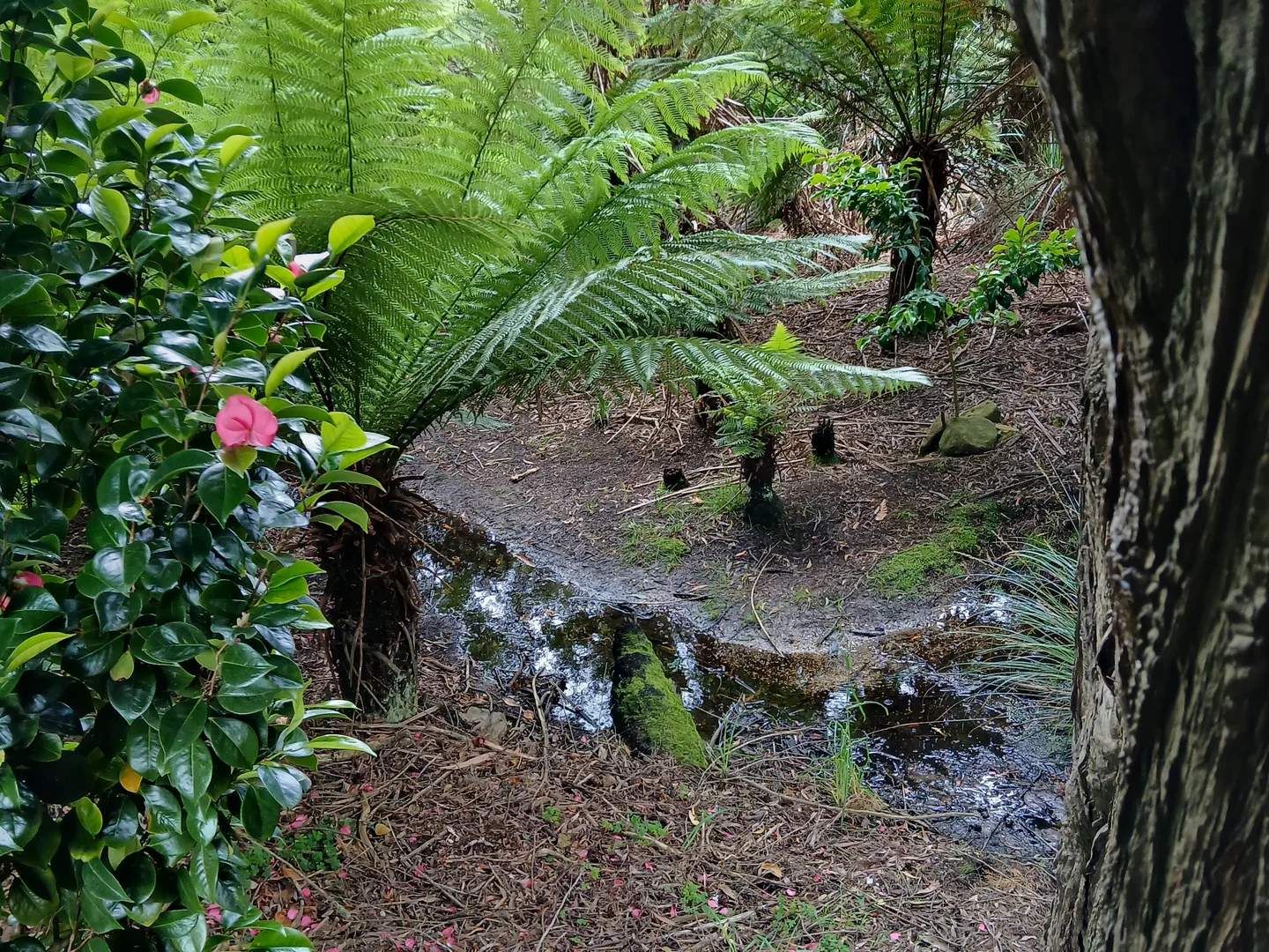 Additional image 18 of 74 Fosters Road, Wynyard TAS 7325