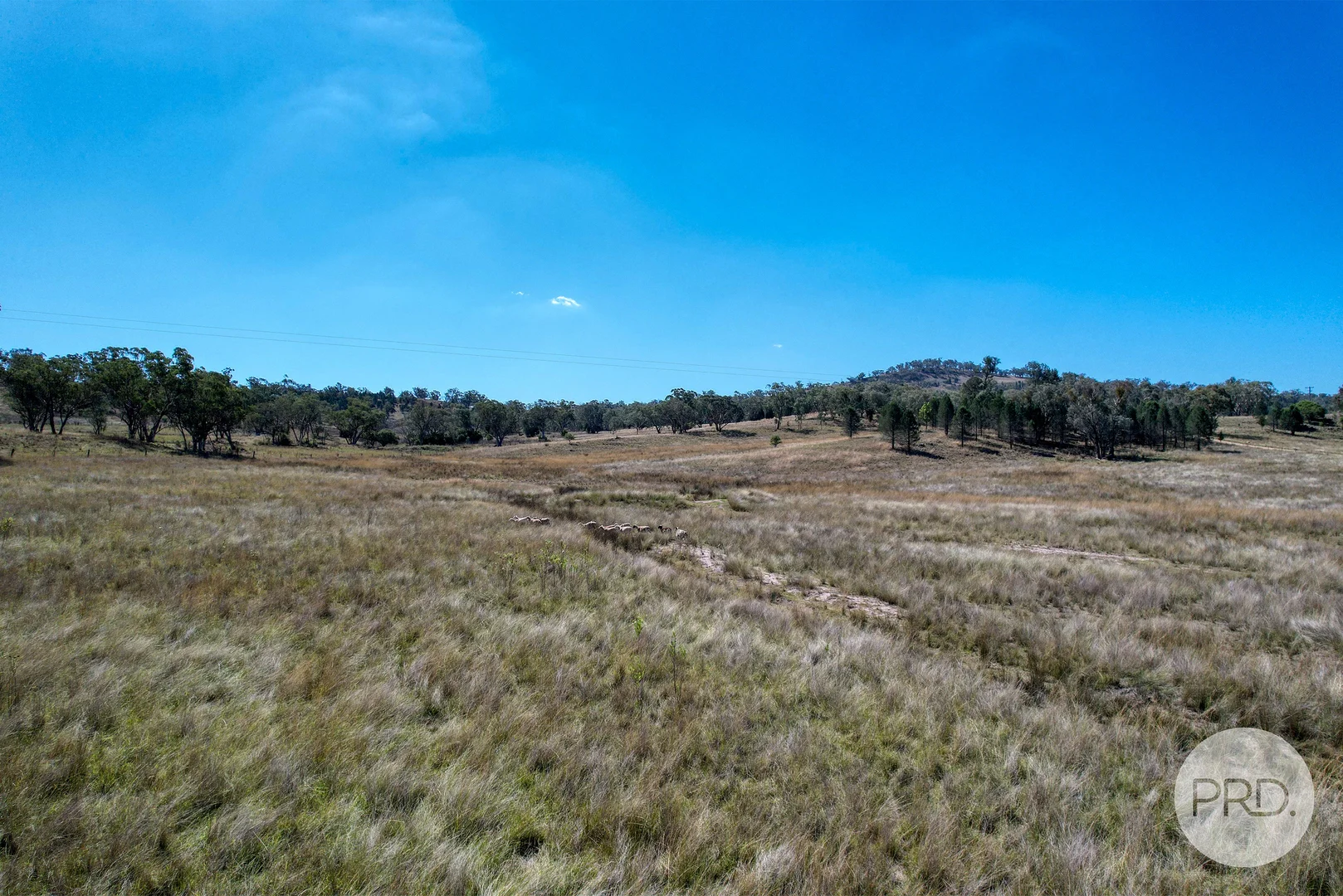 Additional image 37 of 345 Lowes Creek Road, Quipolly NSW 2343