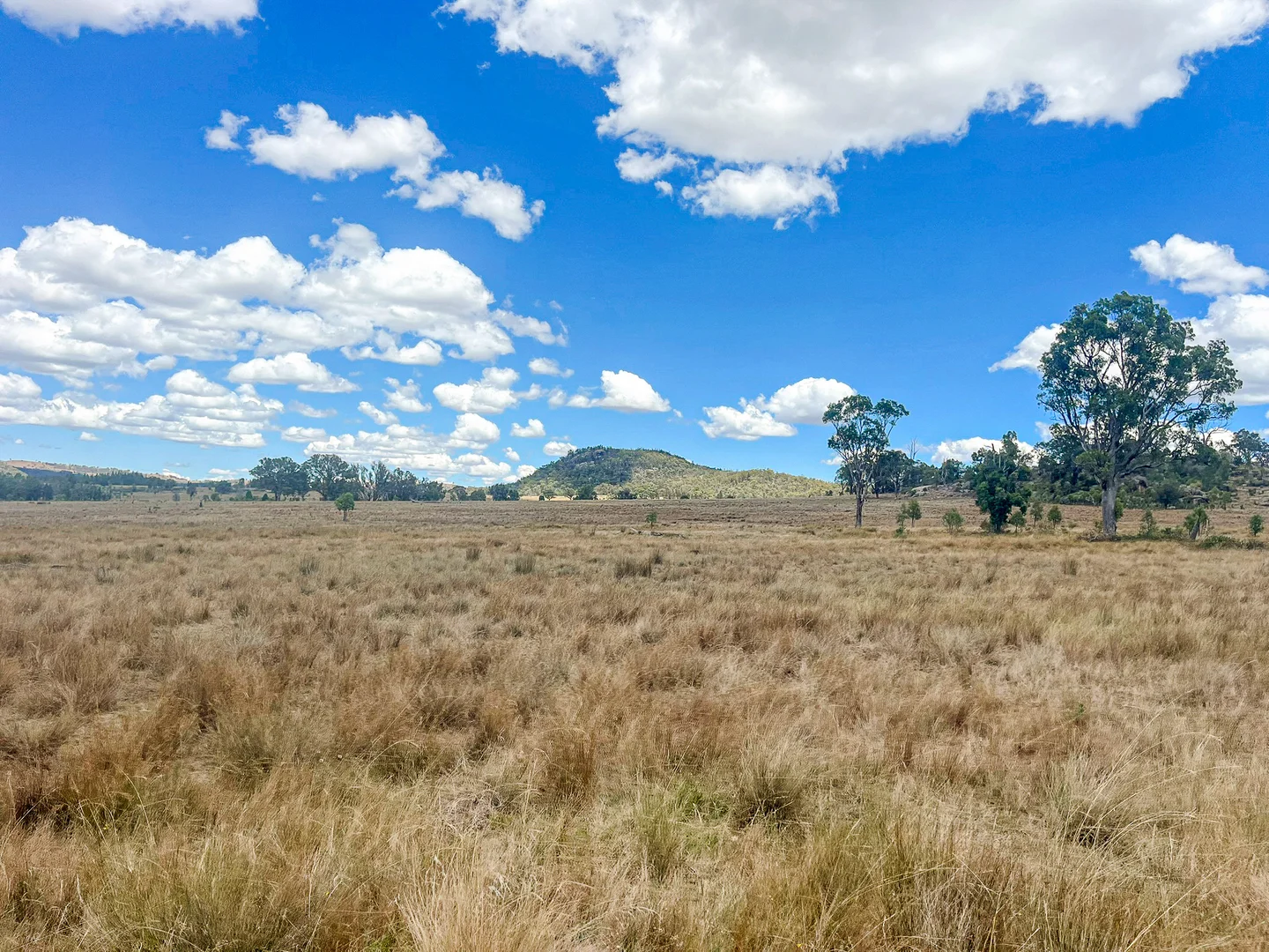 Additional image 19 of 742 Bendemeer Road, Kingstown NSW 2358