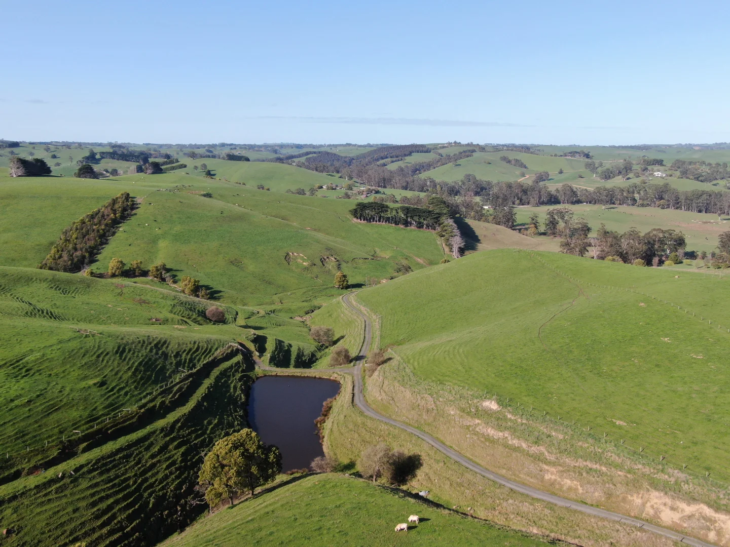 Additional image 11 of Beckett Street, Poowong VIC 3988